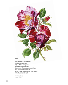 The Primrose Path: A Treasury of Illustrated Verse
