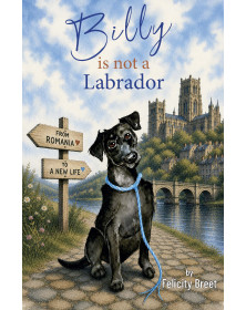 Billy is Not a Labrador