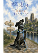 Billy is Not a Labrador