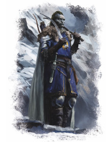 DualRealm Chronicles Trilogy Bundle
