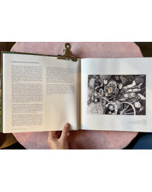 Fields of Marks: The Life and Work of Milan Ivanič (International)