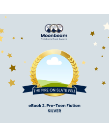 A Lakeland Mystery: The Fire on Slate Fell (A Lakeland Mystery Series Book One)