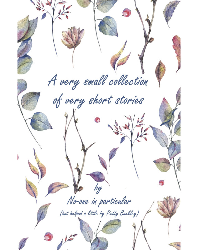 A Very Small Collection of Very Short Stories